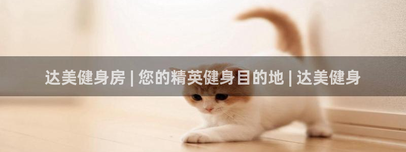d88尊龙官网手机app